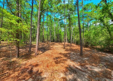 WATER ACCESS! Beautiful 1/2 acre lot in Rayburn Country! on Rayburn Country Club in Texas - for sale on GolfHomes.com, golf home, golf lot