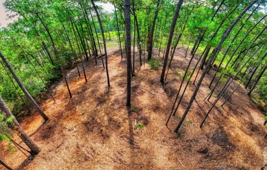 WATER ACCESS! Beautiful 1/2 acre lot in Rayburn Country! on Rayburn Country Club in Texas - for sale on GolfHomes.com, golf home, golf lot