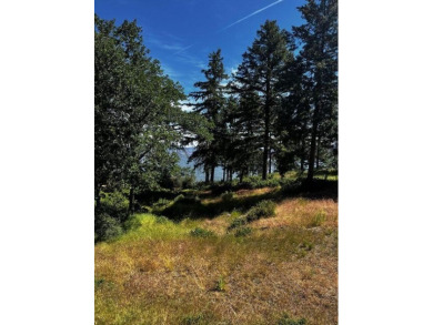 WATERFRONT SITE WITHOUT THE BIG PRICE AT THE RUNNING Y on Running Y Ranch Resort in Oregon - for sale on GolfHomes.com, golf home, golf lot
