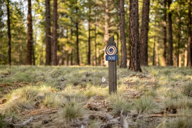 Introducing Wild Pine Homesites at Caldera Springs! Explore our on Sunriver Caldera Springs Golf Course in Oregon - for sale on GolfHomes.com, golf home, golf lot