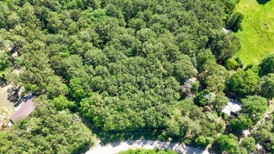 Here's your chance to own 4 beautiful, level acres in a on Rayburn Country Club in Texas - for sale on GolfHomes.com, golf home, golf lot