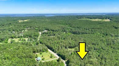 Here's your chance to own 4 beautiful, level acres in a on Rayburn Country Club in Texas - for sale on GolfHomes.com, golf home, golf lot