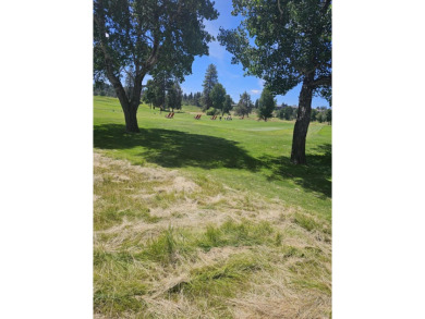 Excellent buildable view golf course lot. Don't let this golf on Running Y Ranch Resort in Oregon - for sale on GolfHomes.com, golf home, golf lot