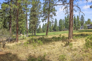 Excellent buildable view golf course lot. Don't let this golf on Running Y Ranch Resort in Oregon - for sale on GolfHomes.com, golf home, golf lot
