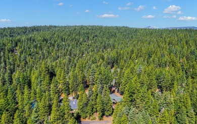 Stunning mountain retreat with lake views on a quiet cul-de-sac! on Lake Almanor Country Club in California - for sale on GolfHomes.com, golf home, golf lot
