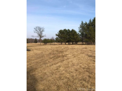 Here is a beautiful golf course lot with just under 300' of on Terrace Bluff Golf Course in Michigan - for sale on GolfHomes.com, golf home, golf lot
