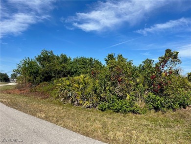 Excellent opportunity in a fast-growing, but tranquil SW on Palmetto-Pine Country Club in Florida - for sale on GolfHomes.com, golf home, golf lot