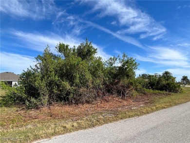 Excellent opportunity in a fast-growing, but tranquil SW on Palmetto-Pine Country Club in Florida - for sale on GolfHomes.com, golf home, golf lot