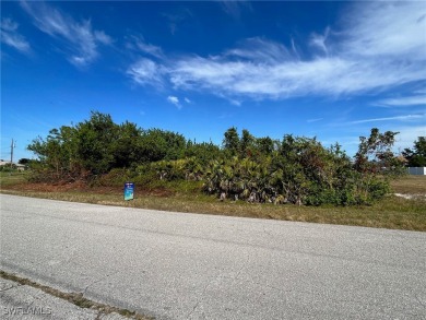 Excellent opportunity in a fast-growing, but tranquil SW on Palmetto-Pine Country Club in Florida - for sale on GolfHomes.com, golf home, golf lot