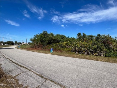Excellent opportunity in a fast-growing, but tranquil SW on Palmetto-Pine Country Club in Florida - for sale on GolfHomes.com, golf home, golf lot