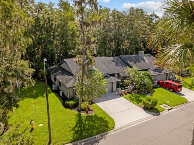 One or more photo(s) has been virtually staged. Tucked away in on East Lake Woodlands Country Club in Florida - for sale on GolfHomes.com, golf home, golf lot