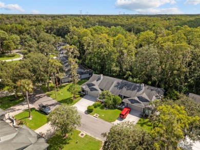 One or more photo(s) has been virtually staged. Tucked away in on East Lake Woodlands Country Club in Florida - for sale on GolfHomes.com, golf home, golf lot