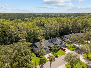 One or more photo(s) has been virtually staged. Tucked away in on East Lake Woodlands Country Club in Florida - for sale on GolfHomes.com, golf home, golf lot