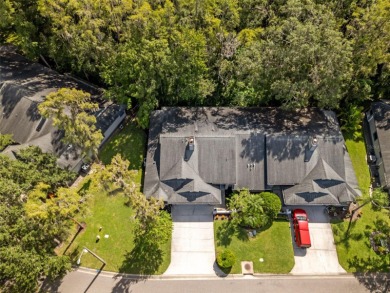 One or more photo(s) has been virtually staged. Tucked away in on East Lake Woodlands Country Club in Florida - for sale on GolfHomes.com, golf home, golf lot