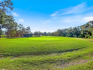 Under contract-accepting backup offers. Welcome to 1408 W Del on North Lakes Golf Course in Florida - for sale on GolfHomes.com, golf home, golf lot