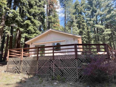 This darling little Lake Almanor Country Club cabin could be the on Lake Almanor Country Club in California - for sale on GolfHomes.com, golf home, golf lot