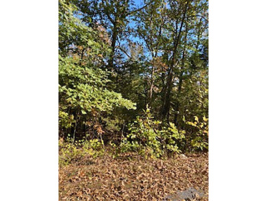 Side by Side, Undeveloped South Fork River Bluff Lots - on Cherokee Village North Course in Arkansas - for sale on GolfHomes.com, golf home, golf lot