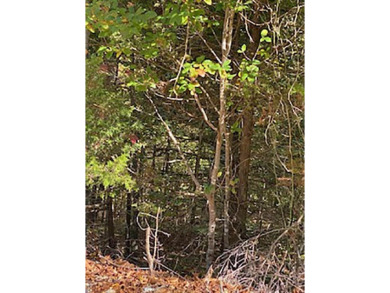 Side by Side, Undeveloped South Fork River Bluff Lots - on Cherokee Village North Course in Arkansas - for sale on GolfHomes.com, golf home, golf lot