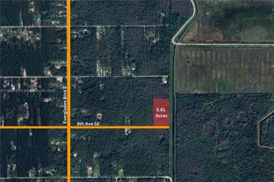 Prime corner lot available in Collier County. 5.61 Acres (244 on Naples Beach Hotel and Golf Club in Florida - for sale on GolfHomes.com, golf home, golf lot