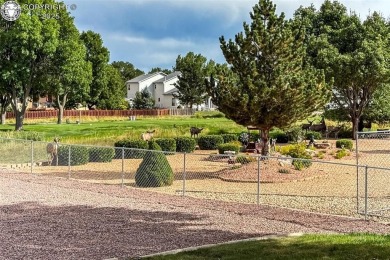Welcome home to your recently updated and well maintained Pueblo on Desert Hawk At Pueblo West in Colorado - for sale on GolfHomes.com, golf home, golf lot