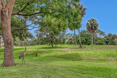 Welcome to your new home in the picturesque Spanish Oaks on Royal Oak Golf Club in Florida - for sale on GolfHomes.com, golf home, golf lot