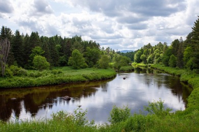 Cedar River Lodges are comprised of a Main Lodge, Guest Lodge on Cedar River Golf Course in New York - for sale on GolfHomes.com, golf home, golf lot