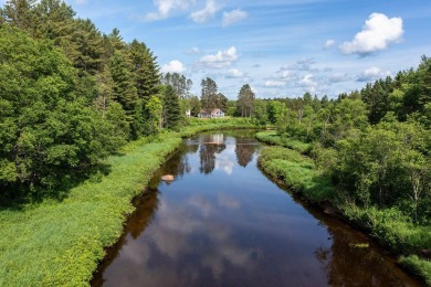 Cedar River Lodges are comprised of a Main Lodge, Guest Lodge on Cedar River Golf Course in New York - for sale on GolfHomes.com, golf home, golf lot