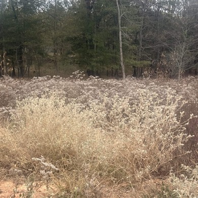 BRAND NEW Phase in Country Club of Arkansas - THE QUARTERS Phase on The Country Club of Arkansas in Arkansas - for sale on GolfHomes.com, golf home, golf lot