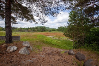 Restaurant location on heavily trafficked State Route 30. A on Cedar River Golf Course in New York - for sale on GolfHomes.com, golf home, golf lot