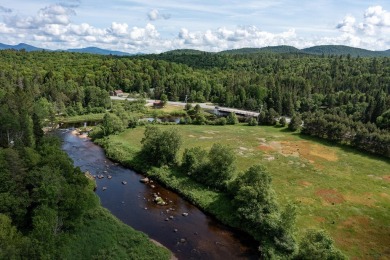 A rare opportunity to live along a wilderness river in the on Cedar River Golf Course in New York - for sale on GolfHomes.com, golf home, golf lot