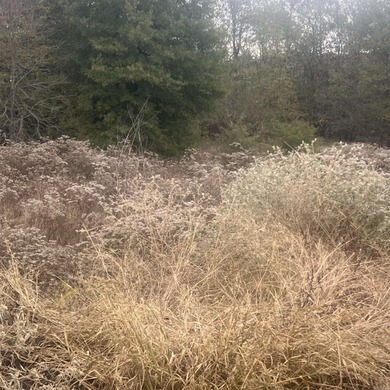 Your search is over!  Come build in this beautiful new phase in on The Country Club of Arkansas in Arkansas - for sale on GolfHomes.com, golf home, golf lot