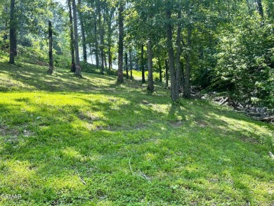 Lakefront property with .81 acre of buildable land. Water Tap is on Baneberry Golf and Resort Club in Tennessee - for sale on GolfHomes.com, golf home, golf lot