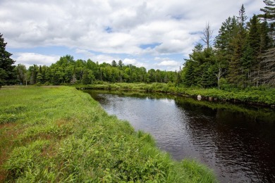 A rare opportunity to live along a wilderness river in the on Cedar River Golf Course in New York - for sale on GolfHomes.com, golf home, golf lot