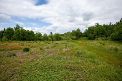 A rare opportunity to live along a wilderness river in the on Cedar River Golf Course in New York - for sale on GolfHomes.com, golf home, golf lot