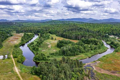 A rare opportunity to live along a wilderness river in the on Cedar River Golf Course in New York - for sale on GolfHomes.com, golf home, golf lot