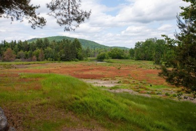 A rare opportunity to live along a wilderness river in the on Cedar River Golf Course in New York - for sale on GolfHomes.com, golf home, golf lot