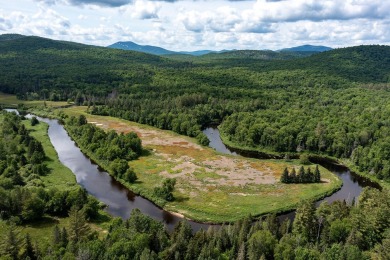A rare opportunity to live along a wilderness river in the on Cedar River Golf Course in New York - for sale on GolfHomes.com, golf home, golf lot