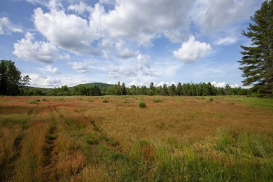 A rare opportunity to live along a wilderness river in the on Cedar River Golf Course in New York - for sale on GolfHomes.com, golf home, golf lot