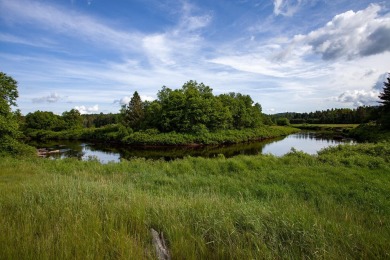 A rare opportunity to live along a wilderness river in the on Cedar River Golf Course in New York - for sale on GolfHomes.com, golf home, golf lot