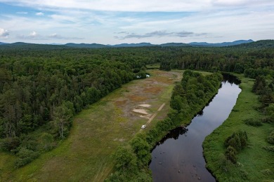 A rare opportunity to live along a wilderness river in the on Cedar River Golf Course in New York - for sale on GolfHomes.com, golf home, golf lot