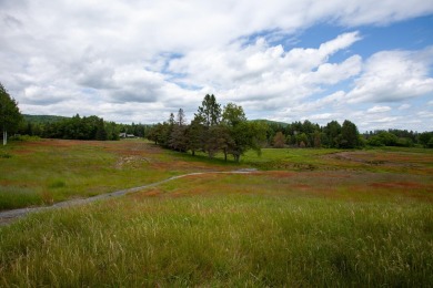 A rare opportunity to live along a wilderness river in the on Cedar River Golf Course in New York - for sale on GolfHomes.com, golf home, golf lot