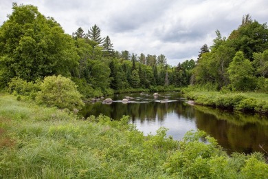 A rare opportunity to live along a wilderness river in the on Cedar River Golf Course in New York - for sale on GolfHomes.com, golf home, golf lot