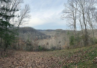 Bring your cottage plans and claim your own spot overlooking on Links At Lily Creek Resort in Kentucky - for sale on GolfHomes.com, golf home, golf lot