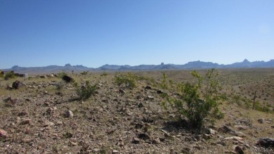 LAUGHLIN RANCH SUMMIT ACRE+ ESTATE HOMESITE! Put the RANCH back on Laughlin Ranch Golf Club in Arizona - for sale on GolfHomes.com, golf home, golf lot