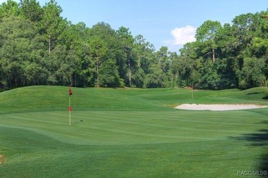 One or more photo(s) has been virtually staged. Experience the on Citrus Springs Country Club in Florida - for sale on GolfHomes.com, golf home, golf lot