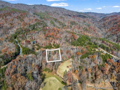 Create your dream home and enjoy being close to Bright's Creek on Brights Creek Golf Course in North Carolina - for sale on GolfHomes.com, golf home, golf lot