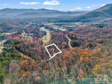 Create your dream home and enjoy being close to Bright's Creek on Brights Creek Golf Course in North Carolina - for sale on GolfHomes.com, golf home, golf lot