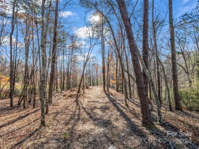 Create your dream home and enjoy being close to Bright's Creek on Brights Creek Golf Course in North Carolina - for sale on GolfHomes.com, golf home, golf lot