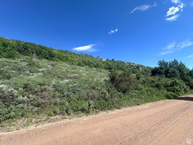 Gorgeous views of Bear Lake from this .94 acre lot! Enjoy the on  in Utah - for sale on GolfHomes.com, golf home, golf lot