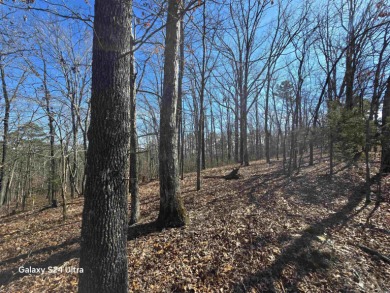 Welcome to the market this 4.50 acre tract with mountain view & on Indian Hills Country Club in Arkansas - for sale on GolfHomes.com, golf home, golf lot